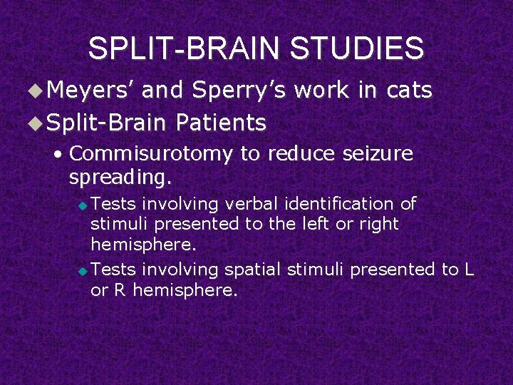 SPLIT-BRAIN STUDIES u Meyers’ and Sperry’s work in cats u Split-Brain Patients • Commisurotomy