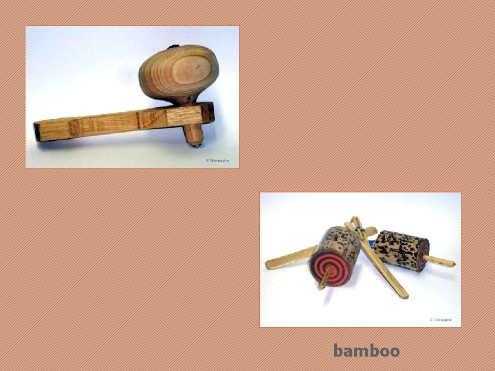 bamboo 