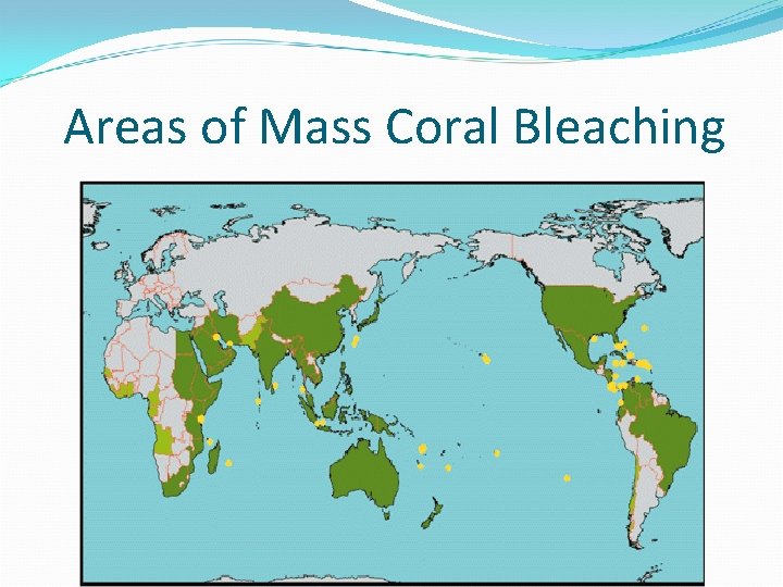 Areas of Mass Coral Bleaching 