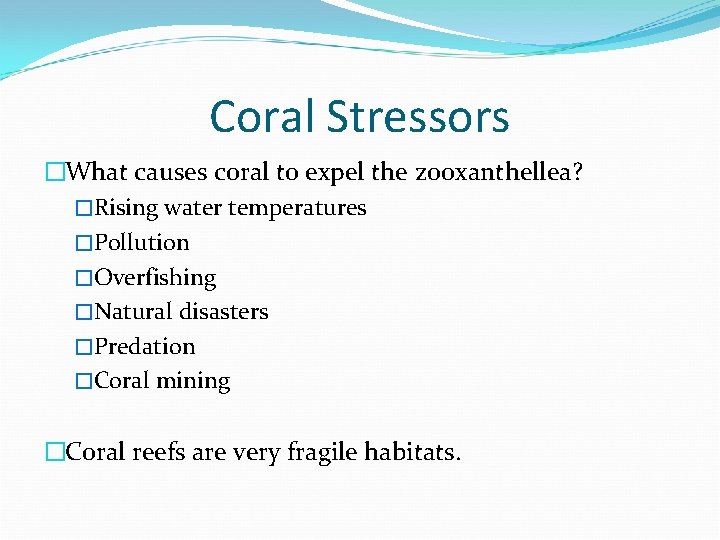 Coral Stressors �What causes coral to expel the zooxanthellea? �Rising water temperatures �Pollution �Overfishing