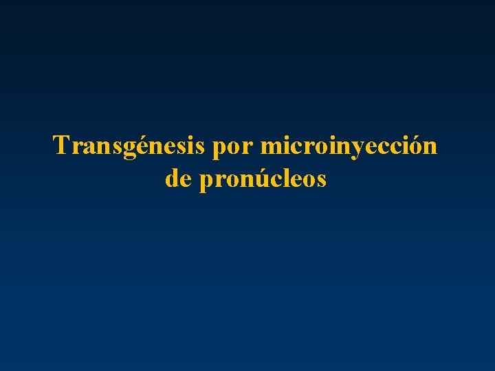Transgénesis por microinyección de pronúcleos 
