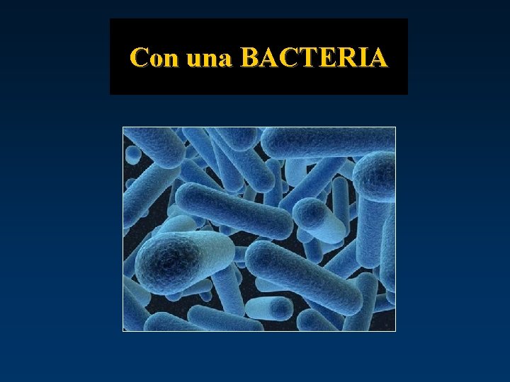 Con una BACTERIA 