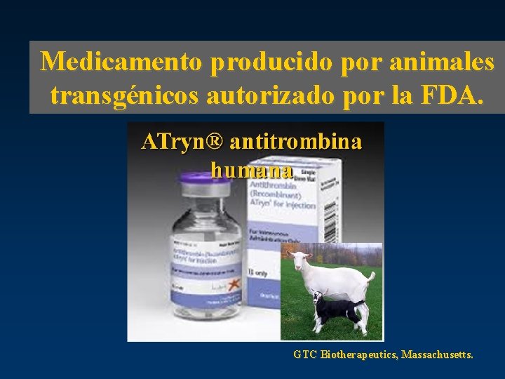 Medicamento producido por animales transgénicos autorizado por la FDA. GTC Biotherapeutics, Massachusetts. 