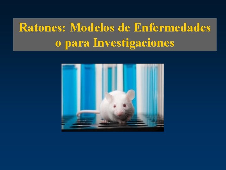 Ratones: Modelos de Enfermedades o para Investigaciones 