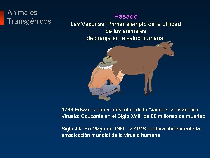 Animales Transgénicos Pasado Las Vacunas: Primer ejemplo de la utilidad de los animales de