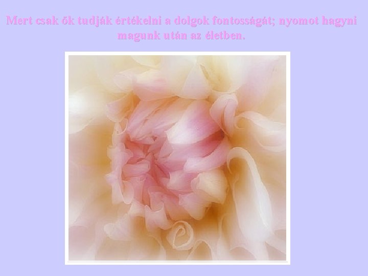Mert csak ők tudják értékelni a dolgok fontosságát; nyomot hagyni magunk után az életben. Mert csak ők tudják értékelni a dolgok fontosságát; nyomot hagyni magunk után az életben.