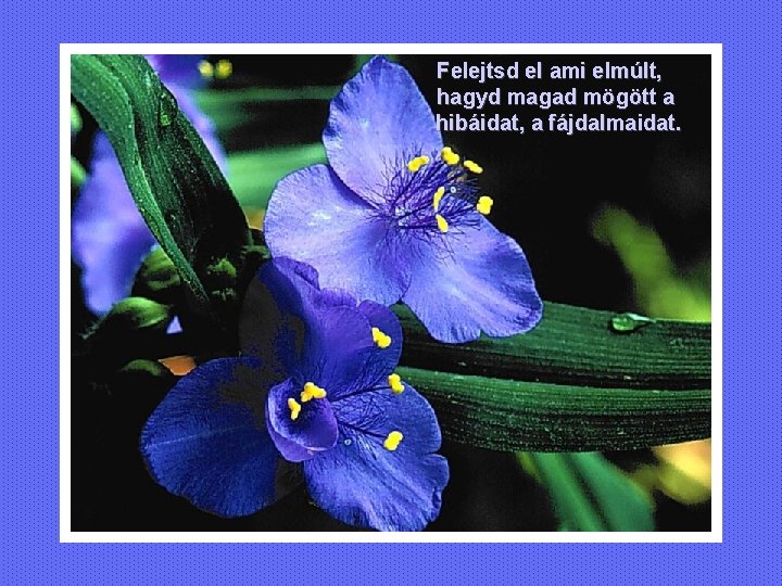 Felejtsd el ami elmúlt, hagyd magad mögött a hibáidat, a fájdalmaidat. Felejtsd el ami elmúlt, hagyd magad mögött a hibáidat, a fájdalmaidat.