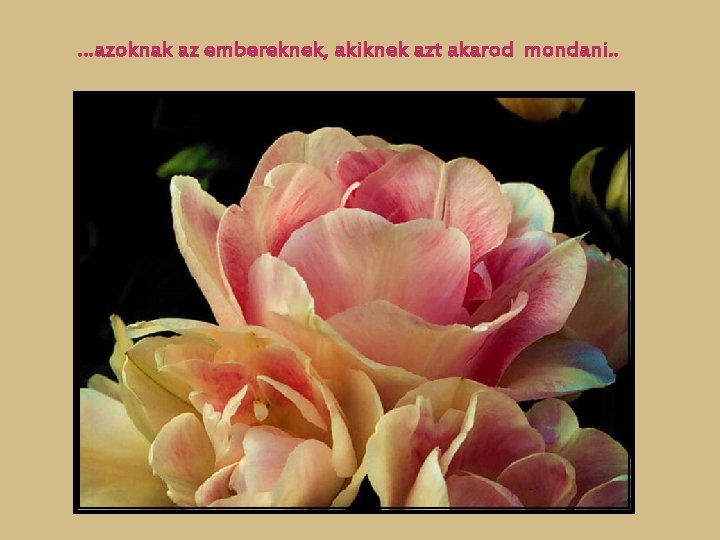 …azoknak az embereknek, akiknek azt akarod mondani. . …azoknak az embereknek, akiknek azt akarod mondani. .