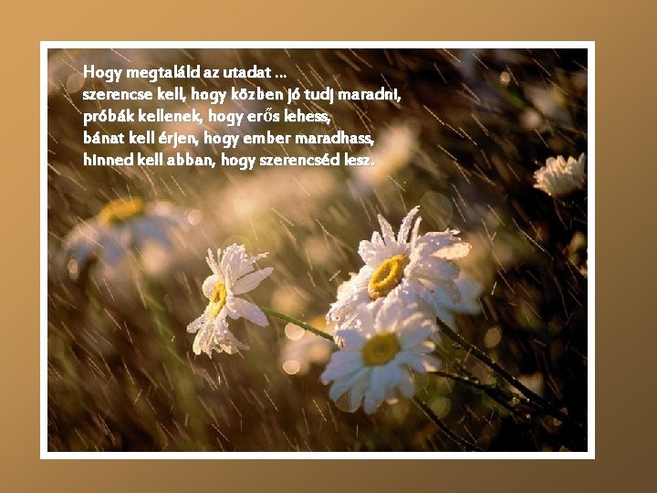 Hogy megtaláld az utadat … szerencse kell, hogy közben jó tudj maradni, próbák kellenek, Hogy megtaláld az utadat … szerencse kell, hogy közben jó tudj maradni, próbák kellenek,