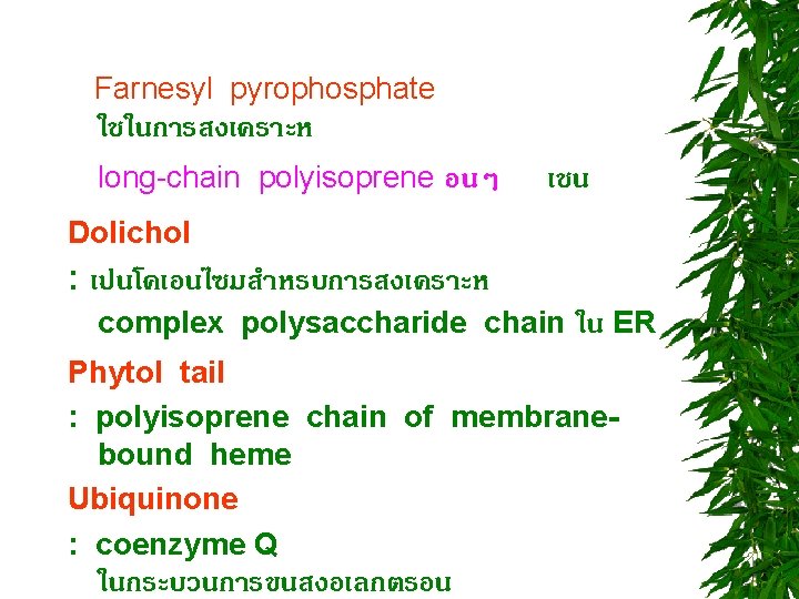 Farnesyl pyrophosphate ใชในการสงเคราะห long-chain polyisoprene อนๆ เชน Dolichol : เปนโคเอนไซมสำหรบการสงเคราะห complex polysaccharide chain ใน