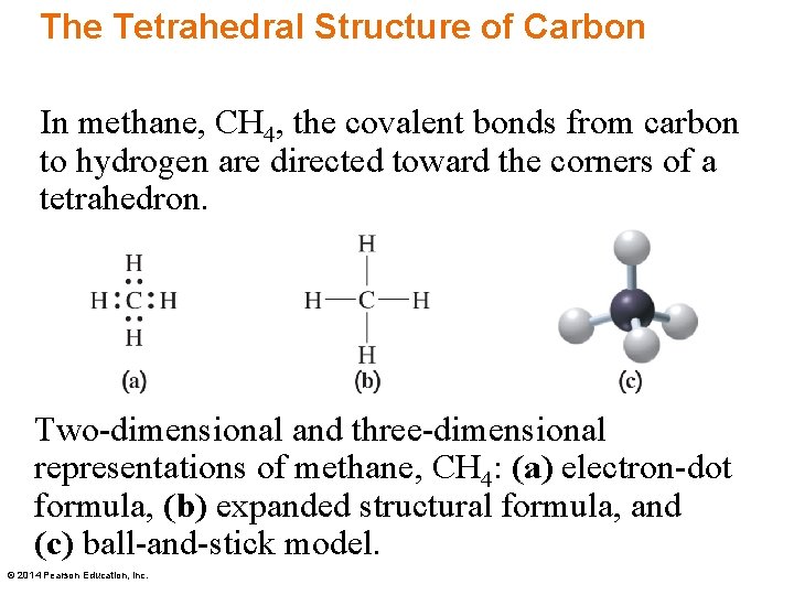 The Tetrahedral Structure of Carbon In methane, CH 4, the covalent bonds from carbon