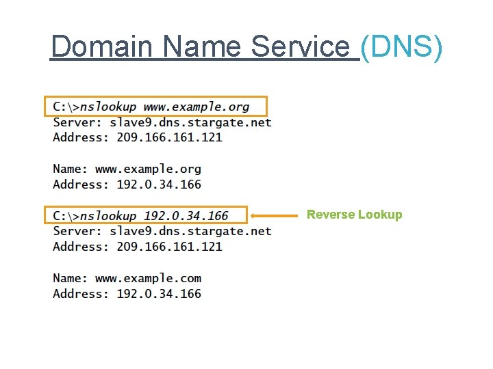 Domain Name Service (DNS) Reverse Lookup 