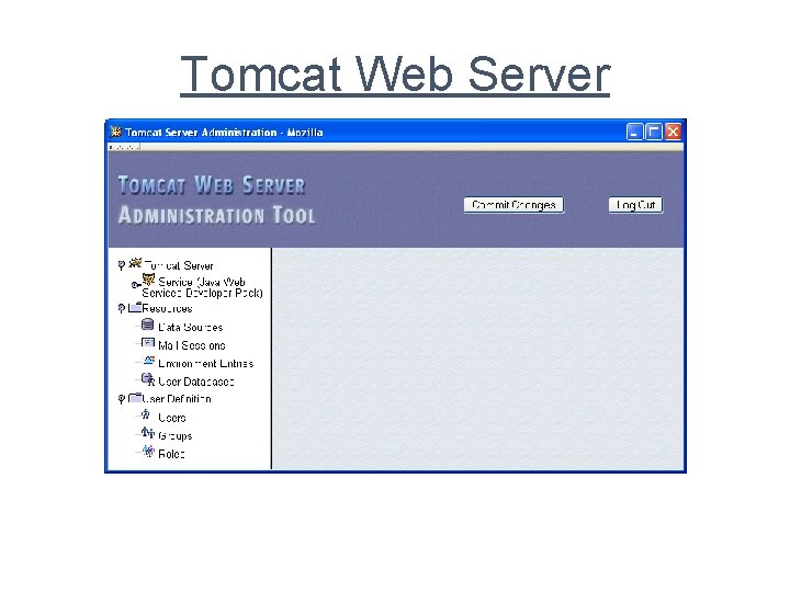 Tomcat Web Server 