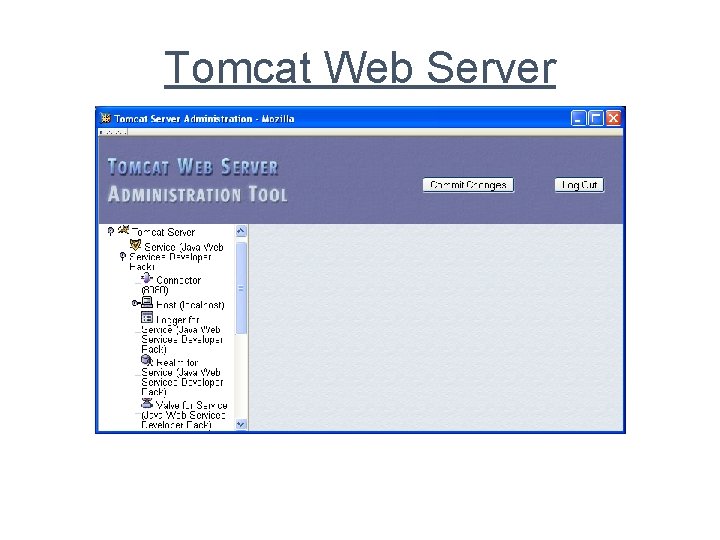 Tomcat Web Server 