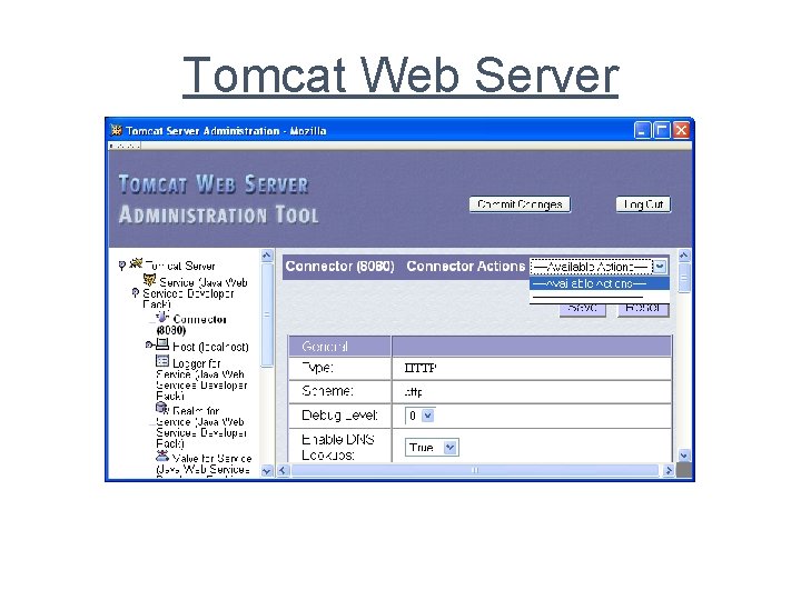 Tomcat Web Server 