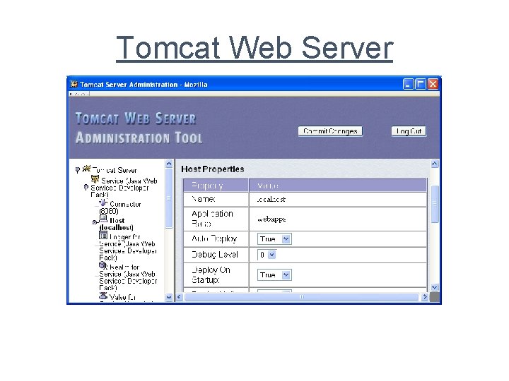 Tomcat Web Server 