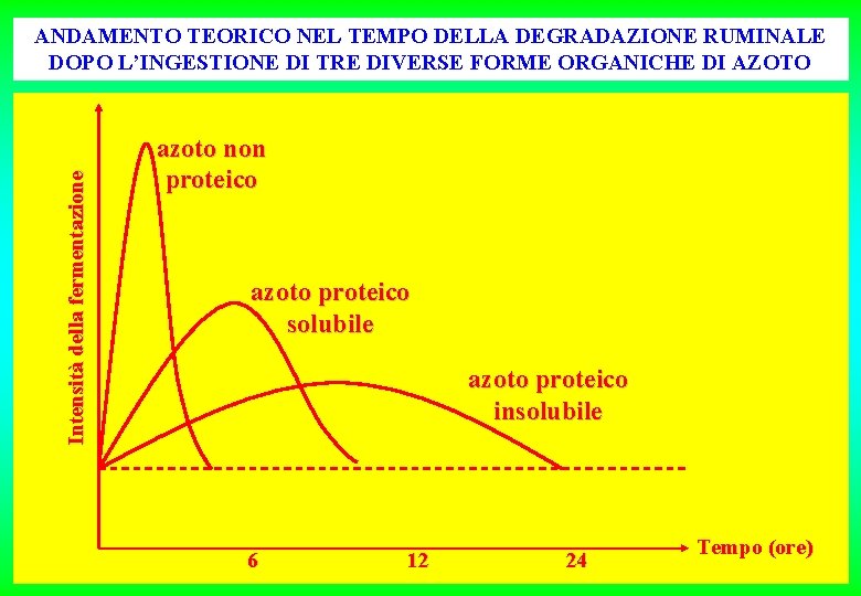 Intensità della fermentazione ANDAMENTO TEORICO NEL TEMPO DELLA DEGRADAZIONE RUMINALE DOPO L’INGESTIONE DI TRE Intensità della fermentazione ANDAMENTO TEORICO NEL TEMPO DELLA DEGRADAZIONE RUMINALE DOPO L’INGESTIONE DI TRE