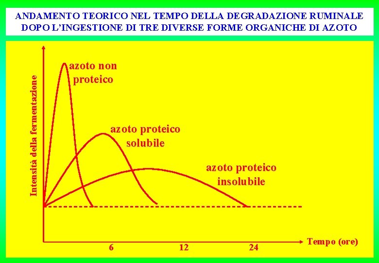 Intensità della fermentazione ANDAMENTO TEORICO NEL TEMPO DELLA DEGRADAZIONE RUMINALE DOPO L’INGESTIONE DI TRE