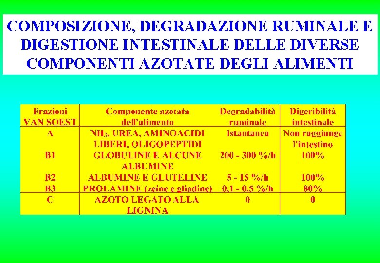 COMPOSIZIONE, DEGRADAZIONE RUMINALE E DIGESTIONE INTESTINALE DELLE DIVERSE COMPONENTI AZOTATE DEGLI ALIMENTI COMPOSIZIONE, DEGRADAZIONE RUMINALE E DIGESTIONE INTESTINALE DELLE DIVERSE COMPONENTI AZOTATE DEGLI ALIMENTI