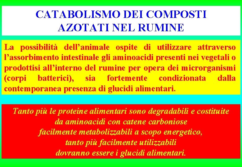 CATABOLISMO DEI COMPOSTI AZOTATI NEL RUMINE La possibilità dell’animale ospite di utilizzare attraverso l’assorbimento CATABOLISMO DEI COMPOSTI AZOTATI NEL RUMINE La possibilità dell’animale ospite di utilizzare attraverso l’assorbimento