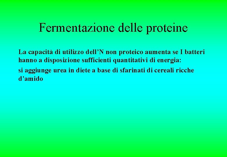 Fermentazione delle proteine La capacità di utilizzo dell’N non proteico aumenta se I batteri Fermentazione delle proteine La capacità di utilizzo dell’N non proteico aumenta se I batteri