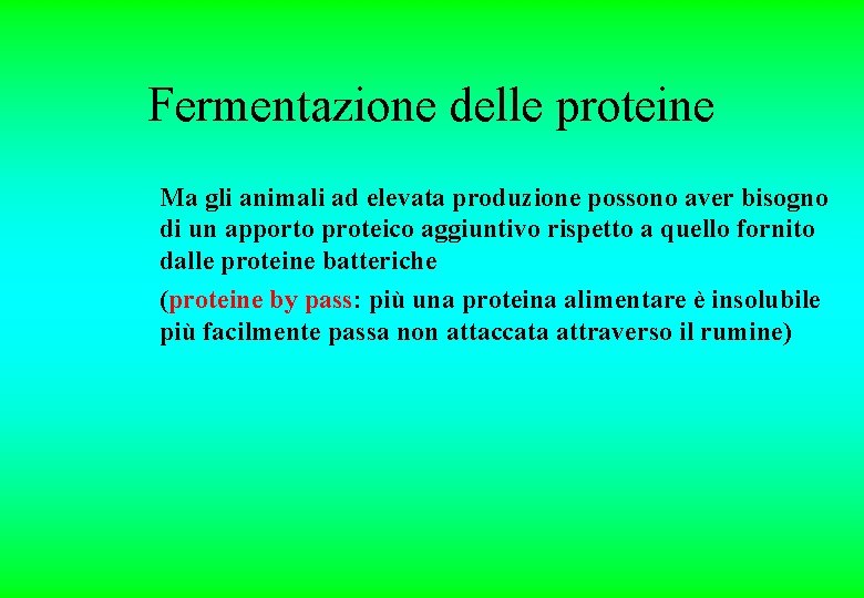 Fermentazione delle proteine Ma gli animali ad elevata produzione possono aver bisogno di un