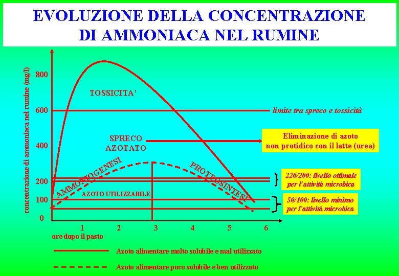 concentrazione di ammoniaca nel rumine (mg/l) EVOLUZIONE DELLA CONCENTRAZIONE DI AMMONIACA NEL RUMINE 800