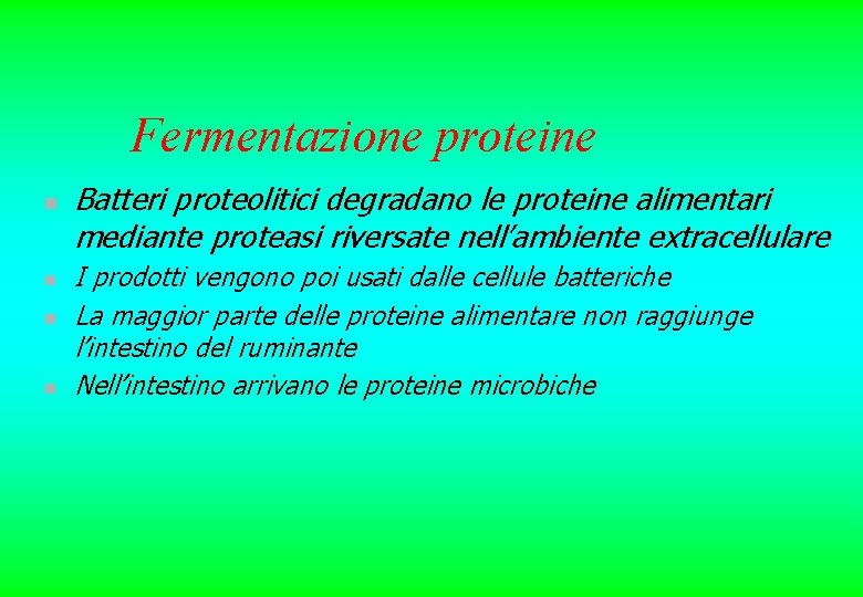 Fermentazione proteine n n Batteri proteolitici degradano le proteine alimentari mediante proteasi riversate nell’ambiente Fermentazione proteine n n Batteri proteolitici degradano le proteine alimentari mediante proteasi riversate nell’ambiente
