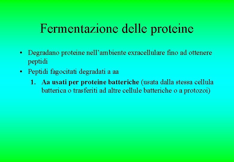 Fermentazione delle proteine • Degradano proteine nell’ambiente exracellulare fino ad ottenere peptidi • Peptidi