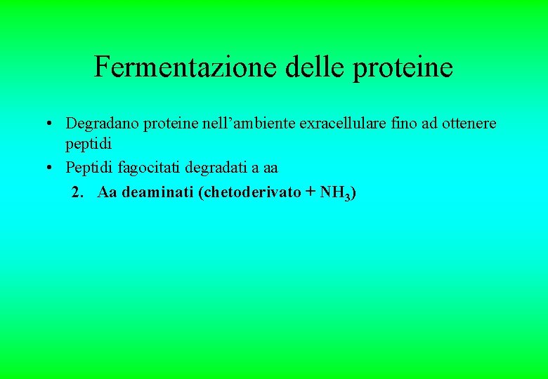 Fermentazione delle proteine • Degradano proteine nell’ambiente exracellulare fino ad ottenere peptidi • Peptidi