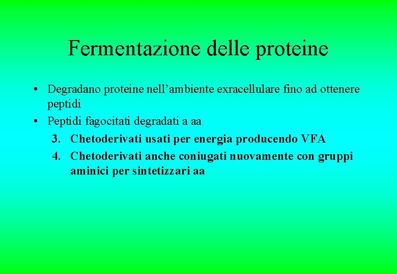 Fermentazione delle proteine • Degradano proteine nell’ambiente exracellulare fino ad ottenere peptidi • Peptidi