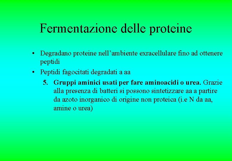 Fermentazione delle proteine • Degradano proteine nell’ambiente exracellulare fino ad ottenere peptidi • Peptidi Fermentazione delle proteine • Degradano proteine nell’ambiente exracellulare fino ad ottenere peptidi • Peptidi