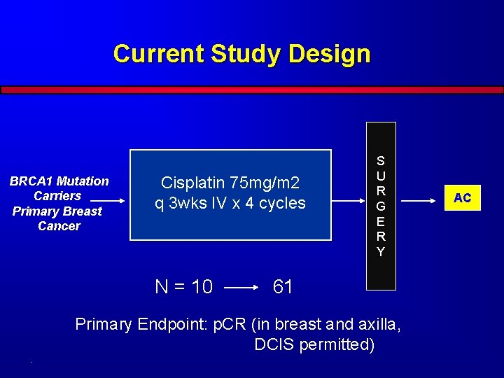 Current Study Design BRCA 1 Mutation Carriers Primary Breast Cancer Cisplatin 75 mg/m 2