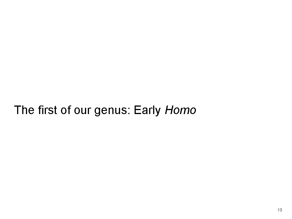 The first of our genus: Early Homo 13 