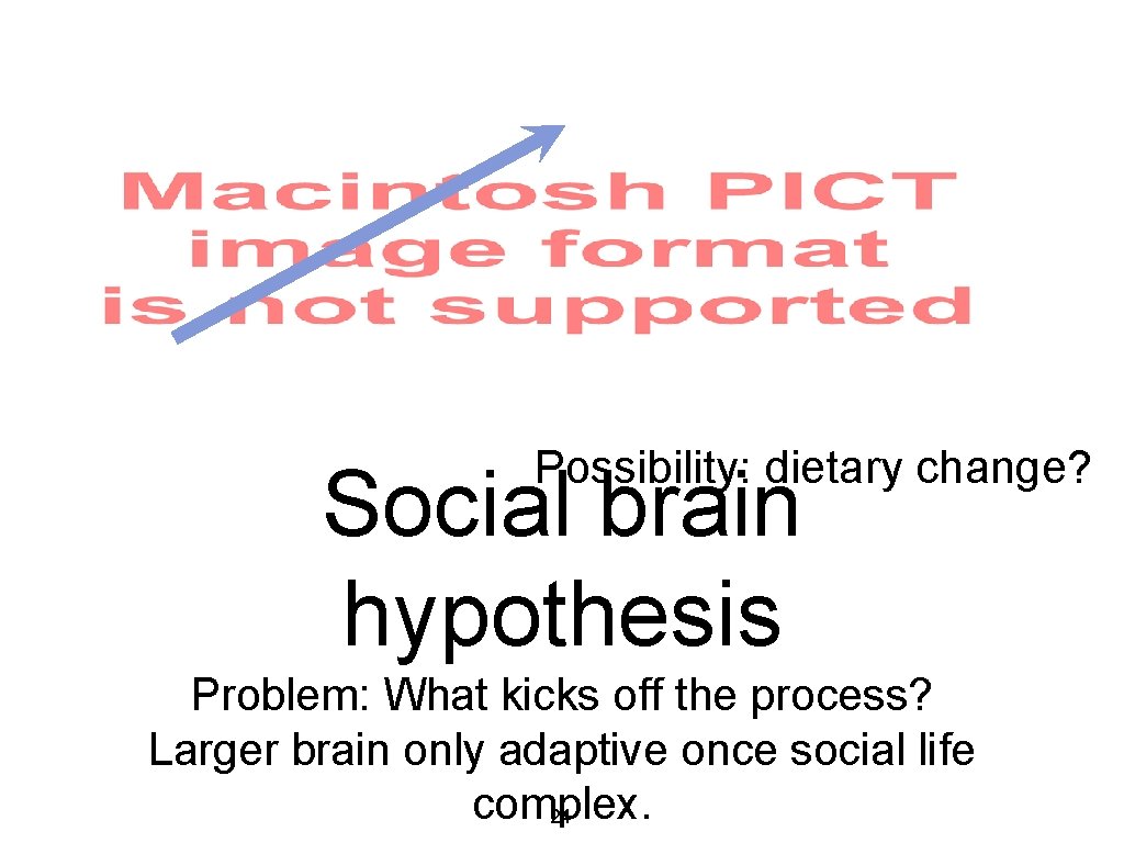 Possibility: dietary change? Social brain hypothesis Problem: What kicks off the process? Larger brain