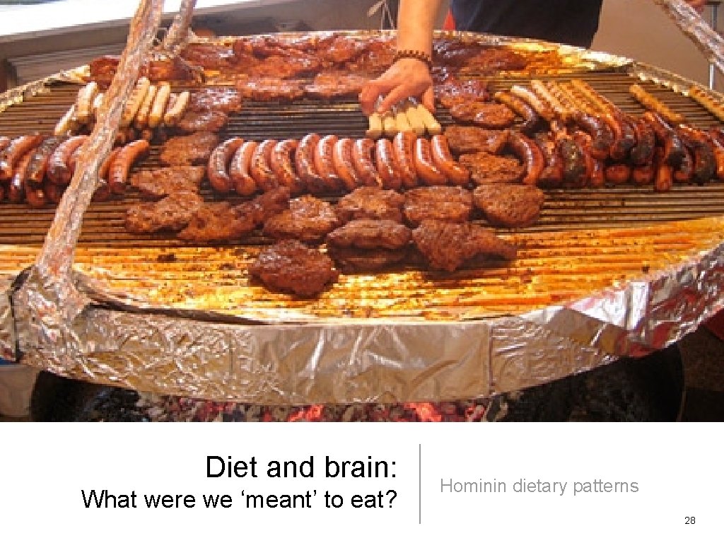 Diet and brain: What were we ‘meant’ to eat? Hominin dietary patterns 28 