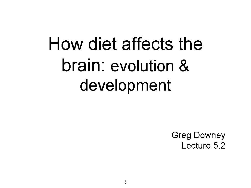 How diet affects the brain: evolution & development Greg Downey Lecture 5. 2 3
