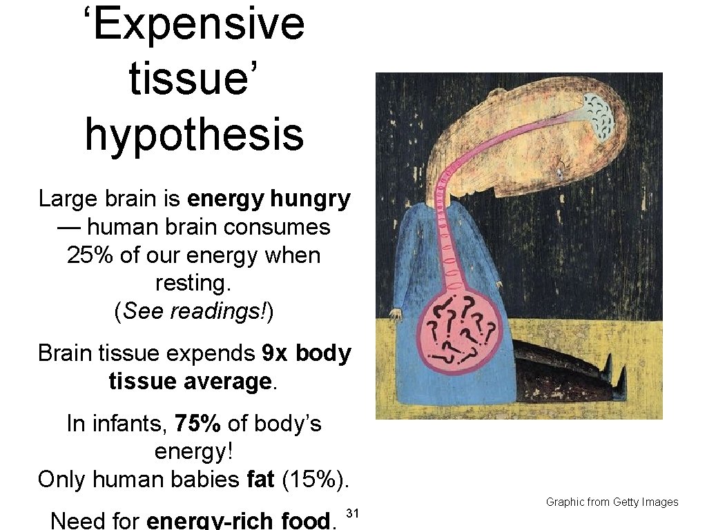 ‘Expensive tissue’ hypothesis Large brain is energy hungry — human brain consumes 25% of