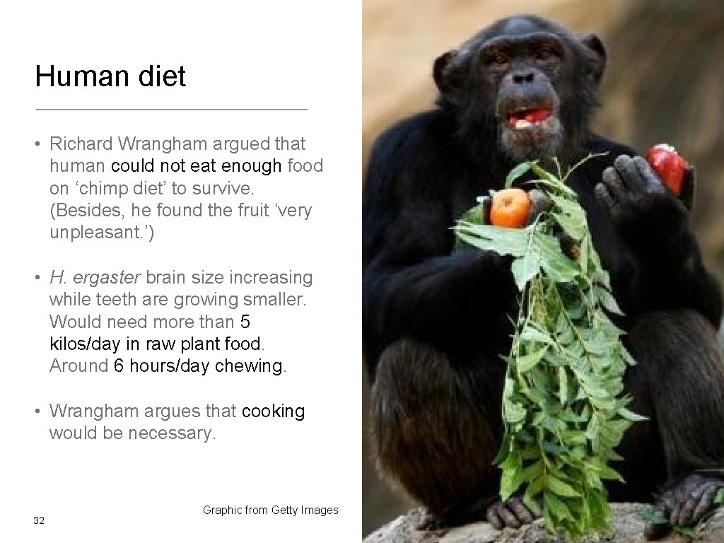 Human diet • Richard Wrangham argued that human could not eat enough food on