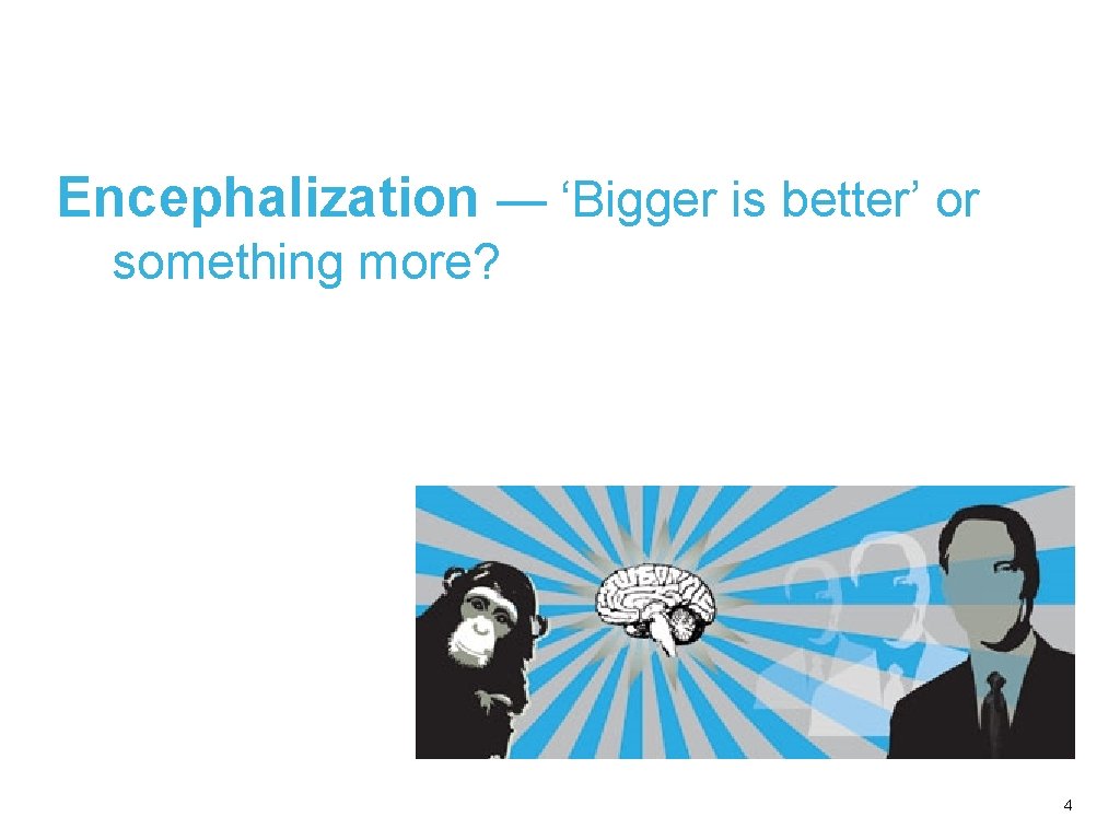 Encephalization — ‘Bigger is better’ or something more? 4 