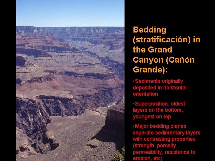 Bedding (stratificación) in the Grand Canyon (Cañón Grande): • Sediments originally deposited in horizontal