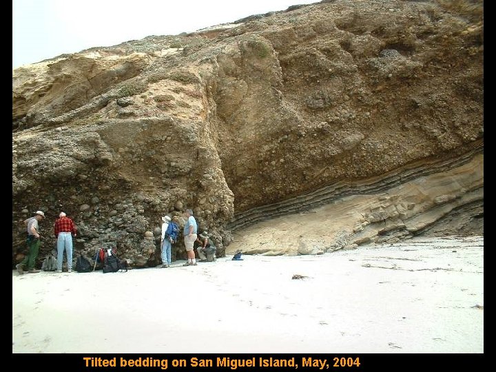 Tilted bedding on San Miguel Island, May, 2004 
