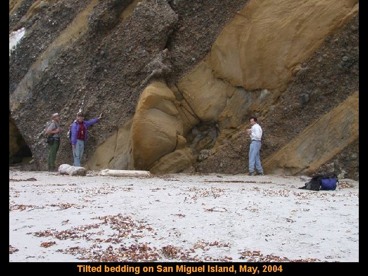 Tilted bedding on San Miguel Island, May, 2004 
