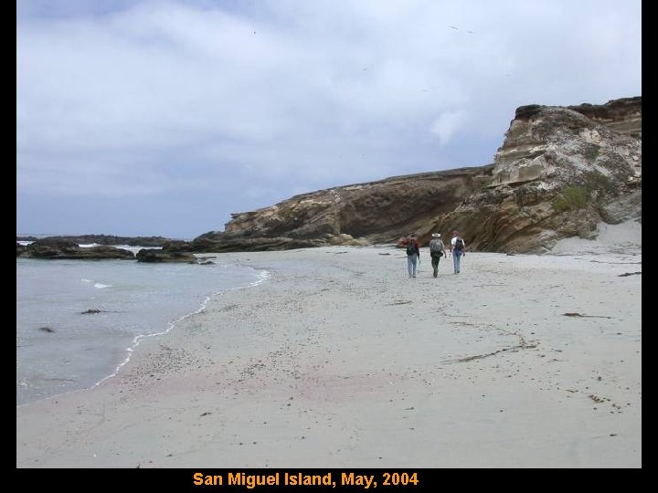 San Miguel Island, May, 2004 