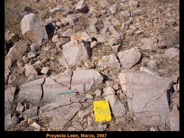 Proyecto León, Marzo, 2007 