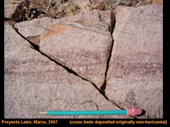 Proyecto León, Marzo, 2007 (cross beds deposited originally non-horizontal) 