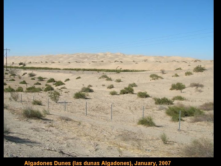 Algadones Dunes (las dunas Algadones), January, 2007 