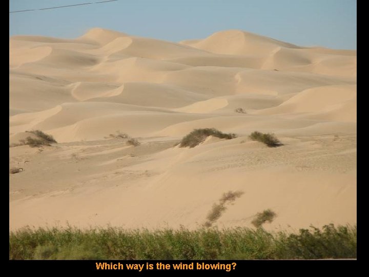 Which way is the wind blowing? 