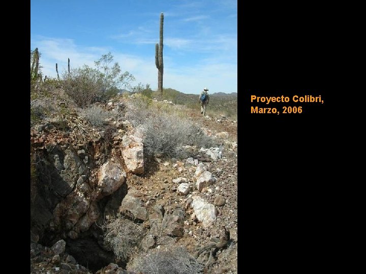 Proyecto Colibri, Marzo, 2006 