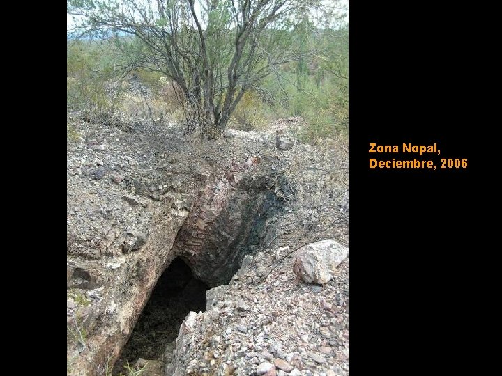 Zona Nopal, Deciembre, 2006 